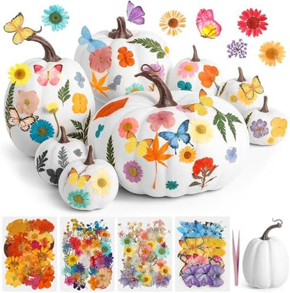 Canlierr 8 Pcs Large Craft Pumpkins & 150 Dried Flower, White by Canlierr