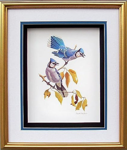 DSC Blue Jay Birds Paper Tole 3D Decoupage Craft Kit Size 8x10 inches 8062 (The Additional Pictures Show This Craft Kit Framed in a Shadow Box Frame) - Image 2