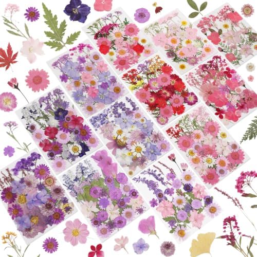 412 Pcs Dried Flowers for Crafts,Real Nature Dried Flowers for Resin by NESCCI