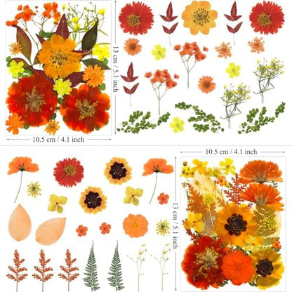 MIKIYA 90Pcs Fall Pressed Dried Flowers for Resin, Real Assorted Autumn Natural Bulk Orange Dry Floral Leaves for DIY Art Crafts, Epoxy Molds, Jewelry, Soap, Candle Making - Image 6
