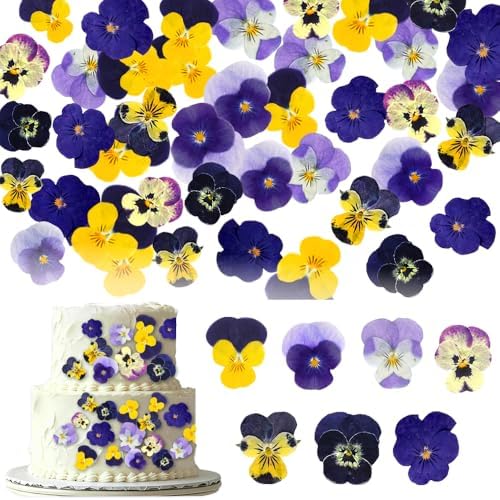 48 Pcs Real Natural Viola Pansy Dried Pressed Flowers - Delicate Multicolor Florals for Resin Jewelry, Candle Making, Frame Decor & DIY Crafts by Unknown