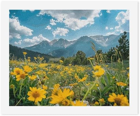 GHBNK Flowers And Green Plants Paint by Numbers Kit for Adults Beginner 40x50cm DIY Adult Paint by Number Kits on Canvas Watercolor Oil Number Painting for Adults, Perfect for Home Decor Gift by Unknown
