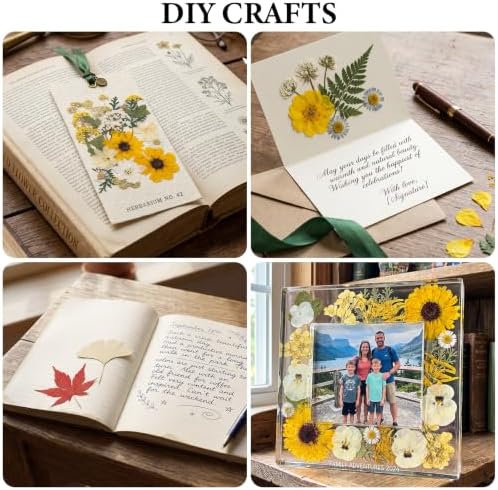 128 Pcs Fall Dried Pressed Flowers for Resin,Natural Real Dried Flowers - Image 7