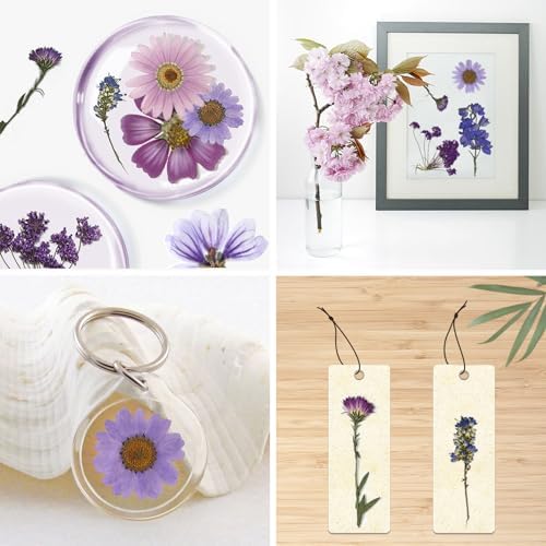 Purple Dried Pressed Flowers Real Natural Petals Bulk for Scrapbooking Art Crafts DIY Gift Papermaking Resin Party Decorations Candle Soap Card Jewelry Making Supplies - Image 5