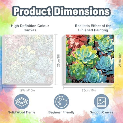 Succulents Framed Paint by Numbers Kit for Adults Beginner 10x10 inch - Image 3