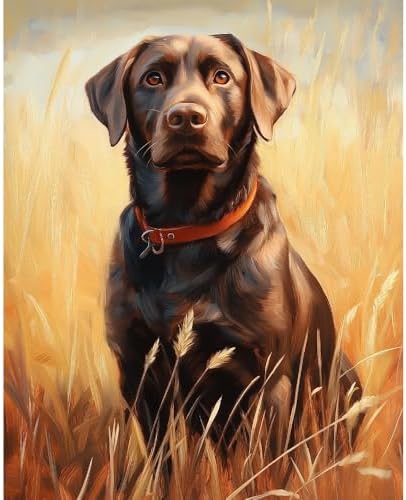 Natuyalo Animal Paint by Numbers Kit for Adults - Black Dog in the Rice Field Painting by Number on Canvas Without Frame, DIY Acrylic Art Crafts for Ideal Gift (16x20 Inch) by Natuyalo