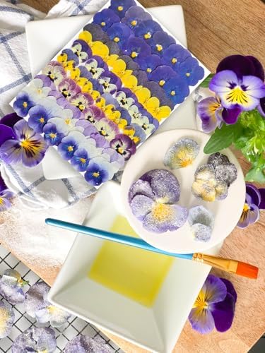 48 Pcs Real Natural Viola Pansy Dried Pressed Flowers - Delicate Multicolor Florals for Resin Jewelry, Candle Making, Frame Decor & DIY Crafts - Image 4