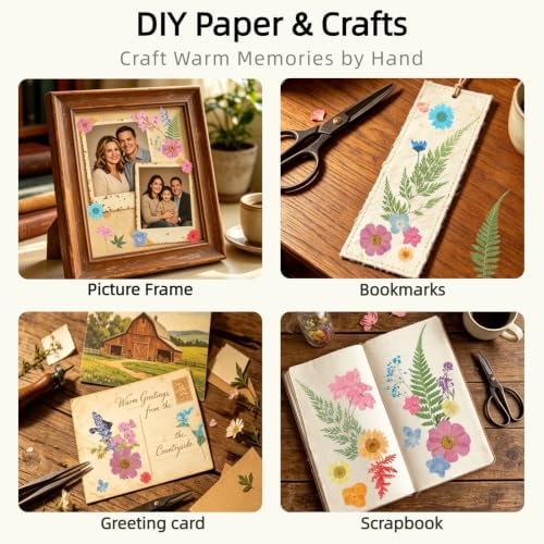 72Pcs Dried Pressed Flowers for Resin, Natural Dried Flowers for Crafts, Real Pressed Flowers Dry Leaves Bulk for Epoxy Resin Jewelry,Scrapbook,Picture Frame,Bookmarks,Candle & Soap Making - Image 5