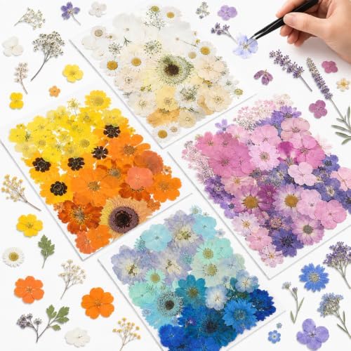 Nuanchu 200 Pcs Pressed Flowers Bulk Dried Flower for Craft Resin Mold Bookmark Scrapbooking Nail Cake White Orange Natural Pressed Dried Floral with Tweezer DIY Gift(Bright Color,Natural Style) by Nuanchu