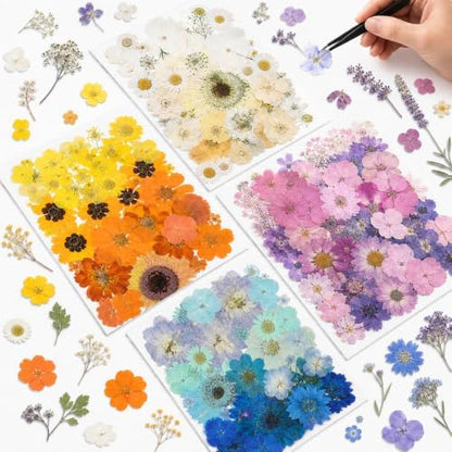 Nuanchu 200 Pcs Pressed Flowers Bulk Dried Flower for Craft Resin Mold Bookmark Scrapbooking Nail Cake White Orange Natural Pressed Dried Floral with Tweezer DIY Gift(Bright Color,Natural Style) by Nuanchu
