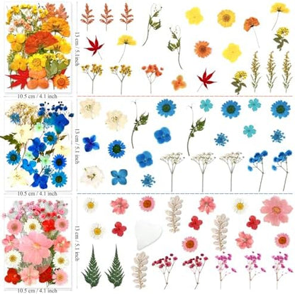 MIKIYA 150Pcs Dried Pressed Flowers for Resin, Assorted Real Natural Bulk Dry Floral Leaves for DIY Art Crafts, Epoxy Molds, Jewelry, Soap, Candle Making, Nails Decors - Image 6