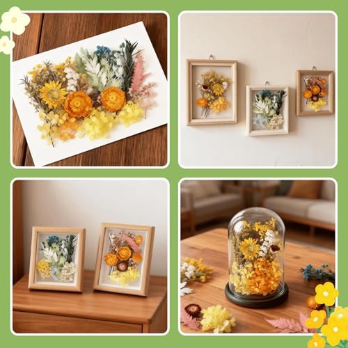 2PCS Dried Flowers Kit, Natural Dried Flowers Kit for DIY Crafts, Scrapbook, Card Making (Style18_24_27) - Image 3