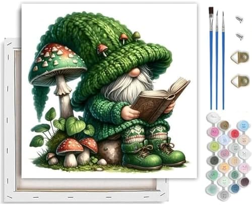 Paint by Numbers Kit for Adults,Gnome DIY Paint by Number With Frame by TCDZMYGS
