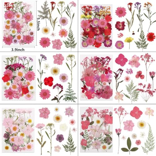 412 Pcs Dried Flowers for Crafts,Real Nature Dried Flowers for Resin - Image 3