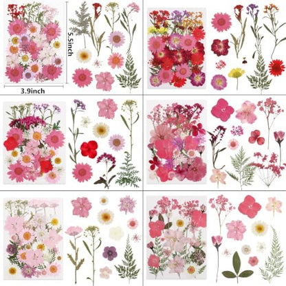 412 Pcs Dried Flowers for Crafts,Real Nature Dried Flowers for Resin - Image 3