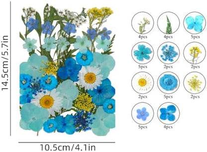 11 Types 40pc Colourful Dried Pressed Flowers for Resin Real Flowers for DIY Bookmark Scrapbook Photo Frame Jewelry Vase Candle Making Nail Card Art Craft Floral Decors - Image 2