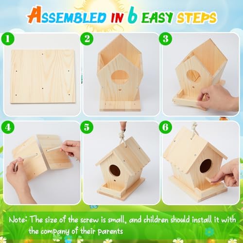 Juexica 2 Pack DIY Birdhouse Kits for Kids 8+ Build and Paint, Rotundity - Image 4