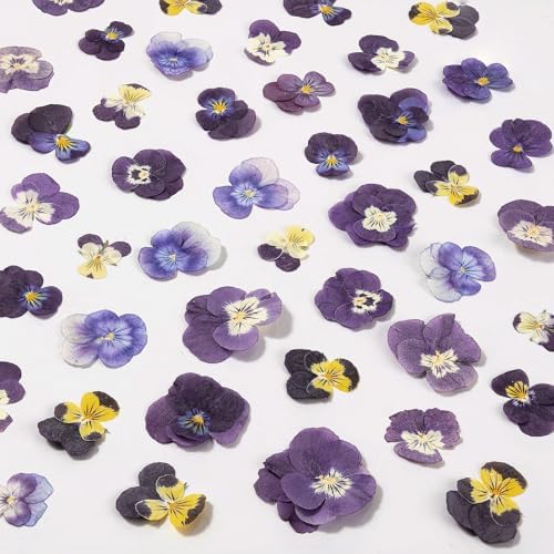 60Pcs Dried Pressed Pansies Flowers for Cake Decorating, Purple Real Dry Flower for Resin Art Crafts Jewelry Decorations by LGFMGWH