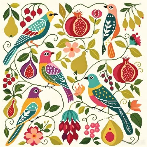 Colorful Birds Stamped Cross Stitch Kits for Beginner 13.7x13.7 Inch by Mosaflare