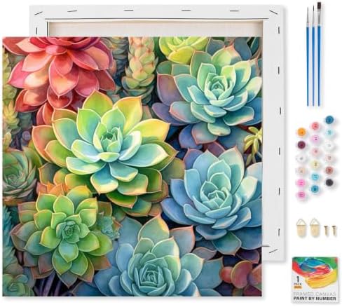 Succulents Framed Paint by Numbers Kit for Adults Beginner 10x10 inch by Kalonyth