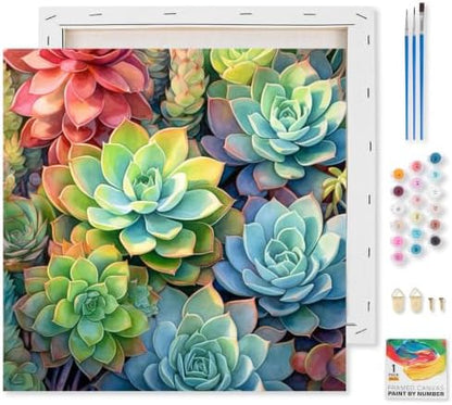 Succulents Framed Paint by Numbers Kit for Adults Beginner 10x10 inch by Kalonyth