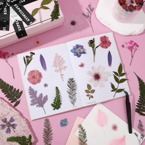 Augshy Dried Pressed Flowers Dry Leaves, 80 Pcs Real Pressed Flowers Leaves for Resin Molds Assorted Pink Blue White Flower for Crafts DIY Jewelry Molds, Scrapbooking, Candle - Image 5