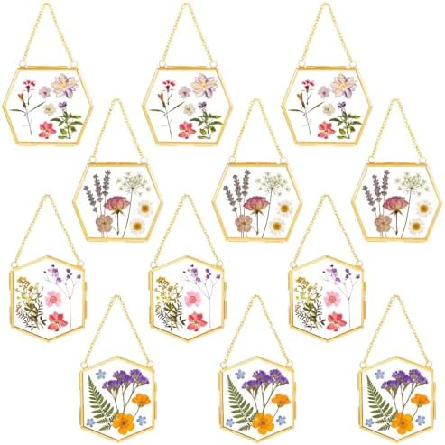 12 Pcs Pressed Flower Frames Craft Kit for Adults Double Glass Frame Decor by Wenqik