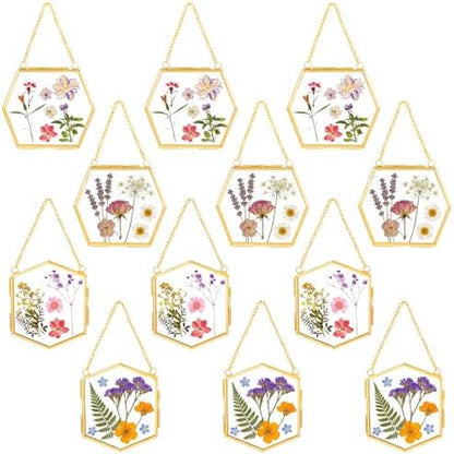 12 Pcs Pressed Flower Frames Craft Kit for Adults Double Glass Frame Decor by Wenqik