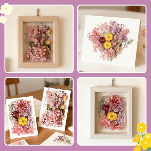 2PCS Dried Flowers Kit, Natural Dried Flowers Kit for DIY Crafts, Scrapbook, Card Making (Style15_28) - Image 4