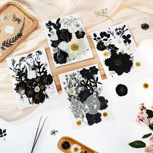 85 PCS Black Dried Pressed Flowers for Crafts Resin - Image 2