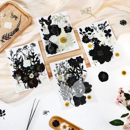 85 PCS Black Dried Pressed Flowers for Crafts Resin - Image 2