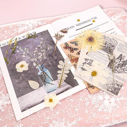 50Pcs Dried Pressed Flowers Real Pressed Flowers Natural Dry Leaves Bulk Mixed Colorful Herbs Kit with Tweezers for Scrapbooking DIY Candle Jewelry Crafts Making Nails (White) - Image 3