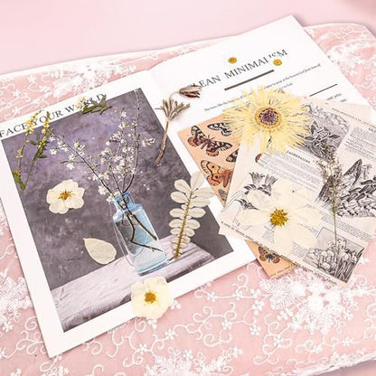 50Pcs Dried Pressed Flowers Real Pressed Flowers Natural Dry Leaves Bulk Mixed Colorful Herbs Kit with Tweezers for Scrapbooking DIY Candle Jewelry Crafts Making Nails (White) - Image 3