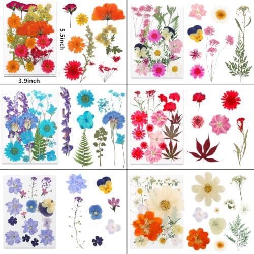 428 Pcs Dried Pressed Flowers for Resin,Real Nature Dried Flowers for Craft - Image 4