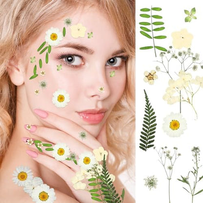 Fabbay 200 Pcs Dried Pressed Flowers Natural Leaves for Resin Nail, White - Image 5