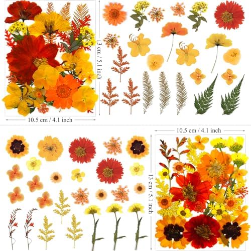 MIKIYA 90Pcs Fall Pressed Dried Flowers for Resin, Real Assorted Autumn Natural Bulk Orange Dry Floral Leaves for DIY Art Crafts, Epoxy Molds, Jewelry, Soap, Candle Making - Image 5