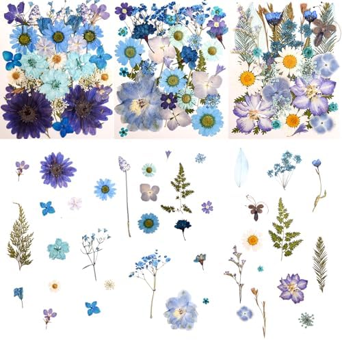 100 PCS Blue Pressed Dried Flowers and Leaves with Tweezers by Cokosing