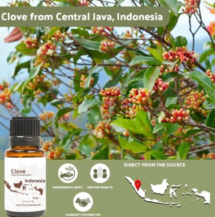 Nature Packaged Clove Essential Oil - 100% Pure Steam Distilled Natural Aceite de Clavo from Indonesia for Aromatherapy & Wellness - Premium Grade (22lbs)