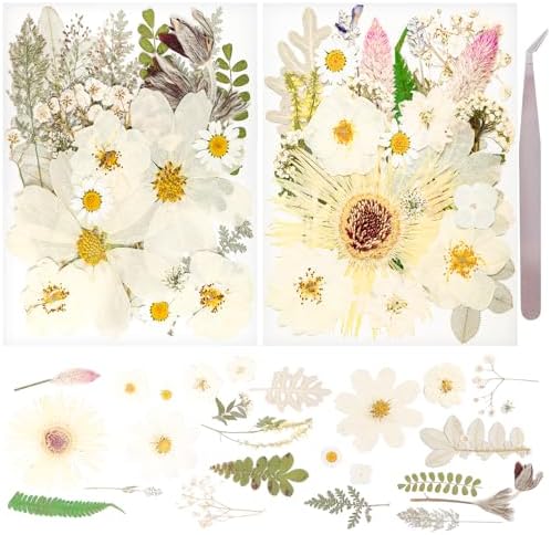 50Pcs Dried Pressed Flowers Real Pressed Flowers Natural Dry Leaves Bulk Mixed Colorful Herbs Kit with Tweezers for Scrapbooking DIY Candle Jewelry Crafts Making Nails (White) by Gvhntk