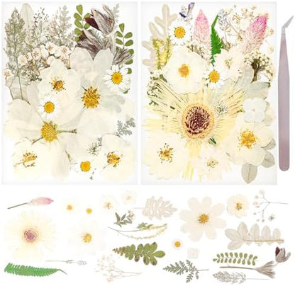 50Pcs Dried Pressed Flowers Real Pressed Flowers Natural Dry Leaves Bulk Mixed Colorful Herbs Kit with Tweezers for Scrapbooking DIY Candle Jewelry Crafts Making Nails (White) by Gvhntk