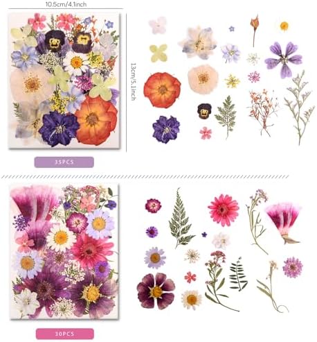 182 PCS Real Pressed Dried Flowers and Leaves for DIY Crafts - Image 3