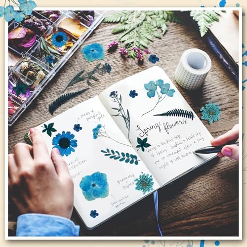 Fabbay 200 Pcs Dried Pressed Flowers Natural Leaves for Resin Nail, Blue - Image 4
