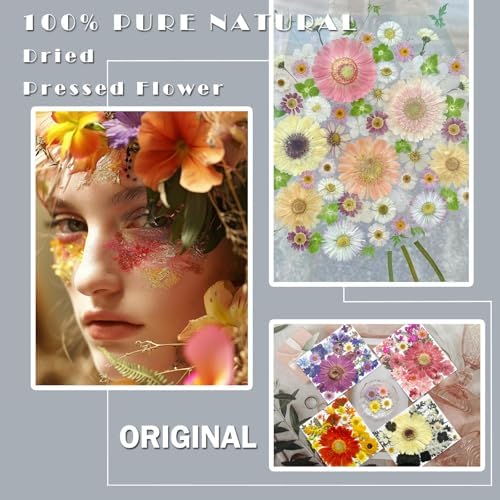 MIKIYA 106Pcs Big Dried Pressed Flowers for Resin, Assorted Real Natural Bulk Dry Floral Leaves for DIY Art Crafts, Epoxy Molds, Jewelry, Soap, Candle Making, Nails Decors - Image 2