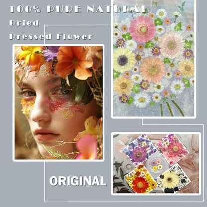 MIKIYA 106Pcs Big Dried Pressed Flowers for Resin, Assorted Real Natural Bulk Dry Floral Leaves for DIY Art Crafts, Epoxy Molds, Jewelry, Soap, Candle Making, Nails Decors - Image 2