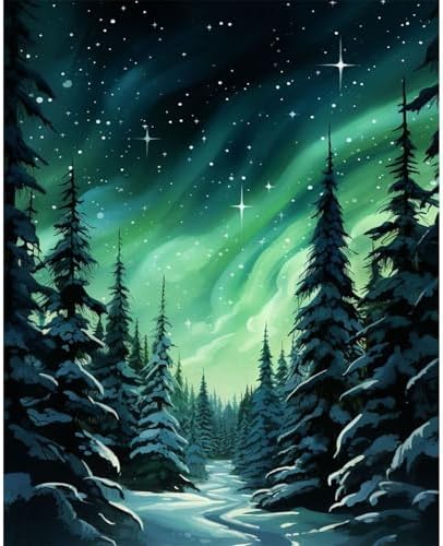Paint by Numbers Kit for Adults Beginner, Aurora Adult Paint by Number Kits on Canvas Without Frame, Forest Oil Painting by Numbers for Home Decor Gift 16” W x 20”L by Fountor