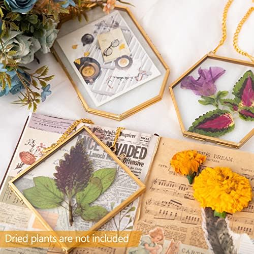 Apipi Hanging Glass Frames for Pressed Flowers Crafts with Sturdy Chain - Image 2