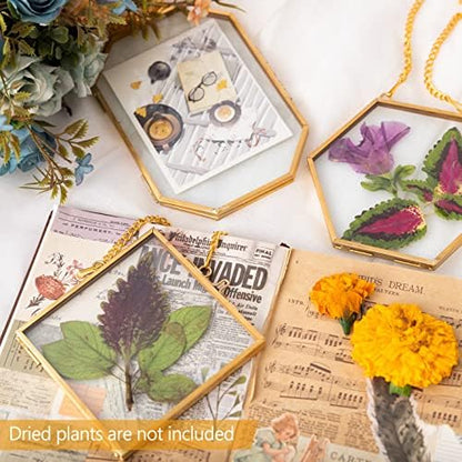 Apipi Hanging Glass Frames for Pressed Flowers Crafts with Sturdy Chain - Image 2