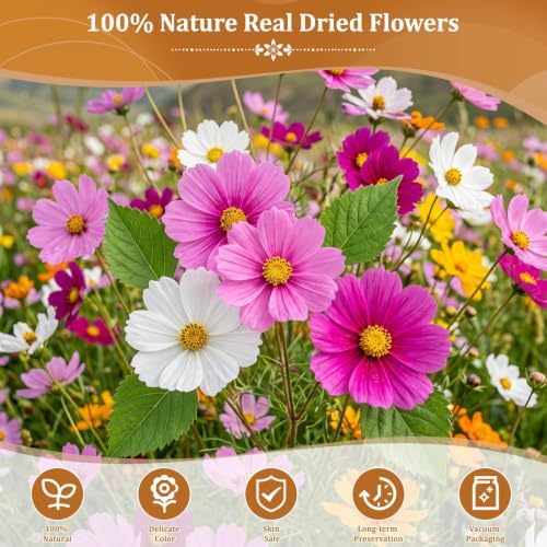 Evatage 180 Pcs Real Dried Pressed Flowers for Resin Crafts - Image 4