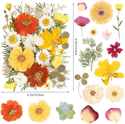 140pcs Dried Pressed Flowers Bulk, Natural Fall Pressed Dried Flowers with Tweezer for DIY Crafts Resin Mold Candles Cake Bridal Scrapbooking Supplies - Image 2