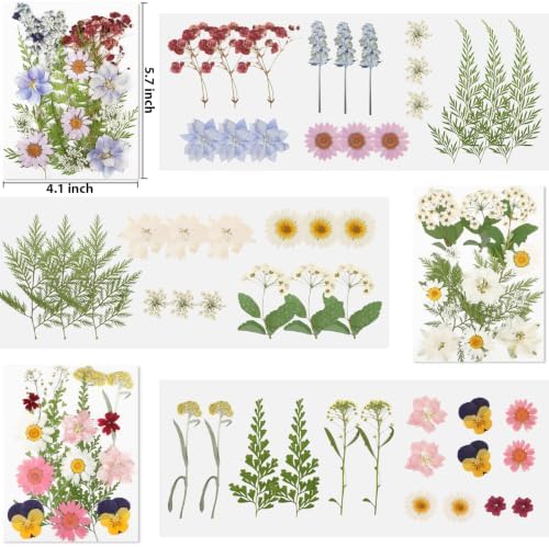 Dried Pressed Flowers for Resin,103pcs Real Nature Dried Flowers for Craft - Image 3